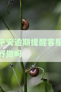 平安逾期短信提醒：取消关闭方法和真实图片