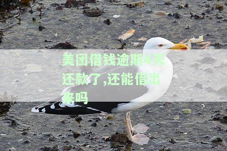 美团借款逾期两天还清了欠款现在不让借了怎么办