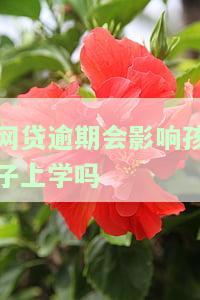 网贷逾期会影响夫妻另一方吗？夫妻如何自保？网贷逾期会影响孩子上学吗？