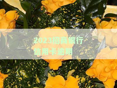 2023招商银行信用卡逾期协商分期政策
