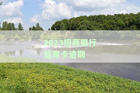 2023招商银行信用卡逾期多久会被起诉坐牢及上征信