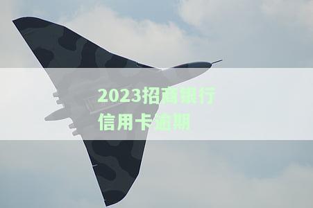 2023招商银行信用卡逾期