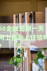 58金融逾期一天马上还会上征信吗是真的吗
