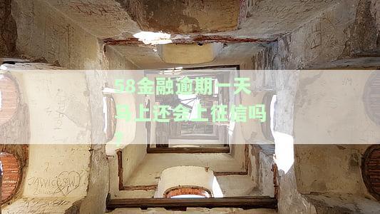 58金融逾期一天马上还会上征信吗的相关问题及解答