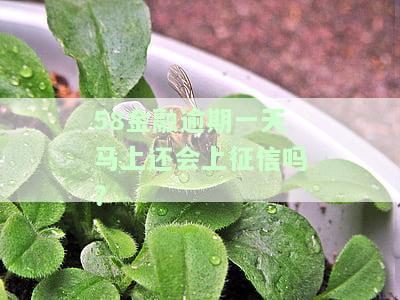 58金融逾期一天马上还会上征信吗知乎怎么办？今晚九点前还能解决吗？