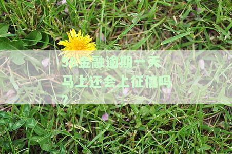 58金融逾期一天马上还会上征信吗怎么办？