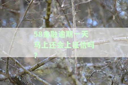 58金融逾期一天马上还会上征信吗?
