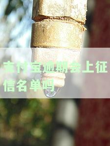 支付宝花呗逾期会上征信名单吗？逾期多久会被列入失信人名单？