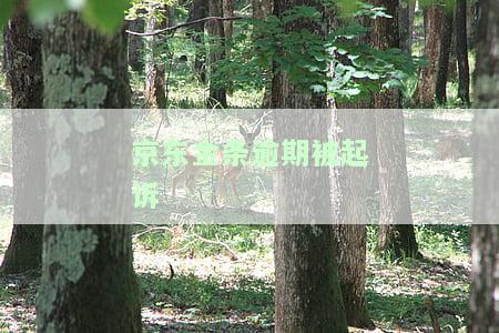 京东金条逾期被起诉没有偿还能力怎么处理及解决？