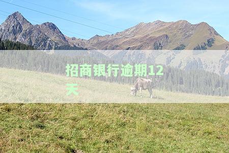 招商银行逾期12天冻结卡还最低还款