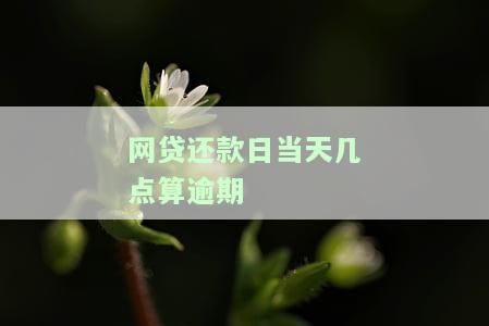 网贷还款日期当天还算逾期吗及相关问题解答