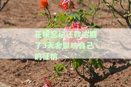 花呗忘记还了4天上征信吗，最晚可以拖几天还？