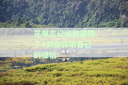 花呗最晚可以拖几天还款及是否需要申请客服电话