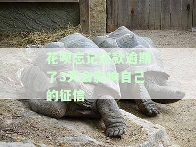 花呗忘记还款逾期了3天会影响自己的征信嘛
