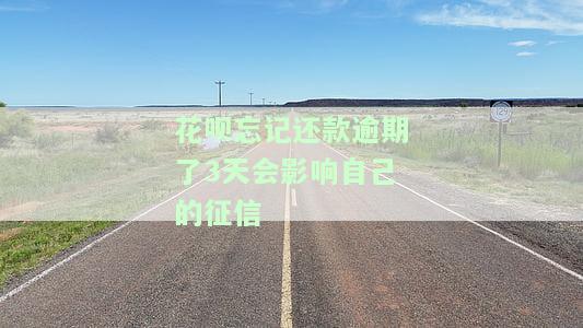 花呗忘记还款逾期3天会如何影响征信？
