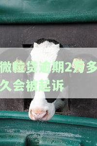 微粒贷逾期2万多久会被起诉