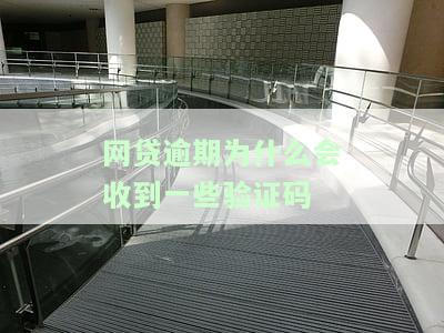 网贷逾期为什么会收到验证码短信通知及其原因