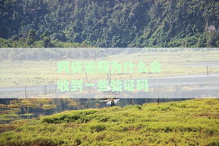 网贷逾期后为什么短信收到很多验证码