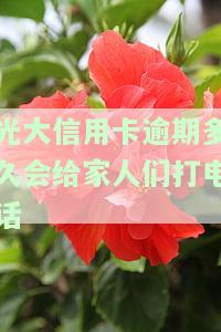 光大银行信用卡逾期多久上征信记录，怎么协商减免并分期还款？