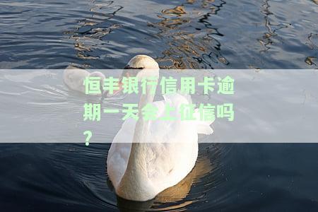 恒丰银行信用卡逾期一天会上征信吗怎么办，最低还款几百行，逾期1天可否推还款日？