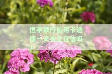 恒丰银行信用卡逾期一天会上征信吗?