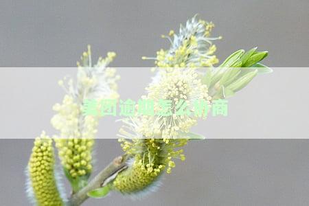 美团逾期怎么协商恢复征信记录