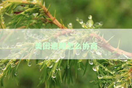 美团逾期协商方案是哪几种，如果逾期了实在没钱还怎么办？