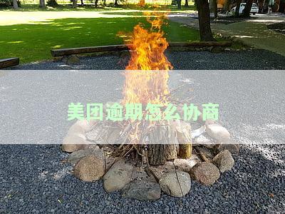 美团打95172能协商还款吗，什么可以在美团客服电话人工服务24小时，如何协商期还款