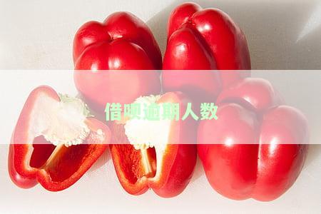 借呗逾期人数