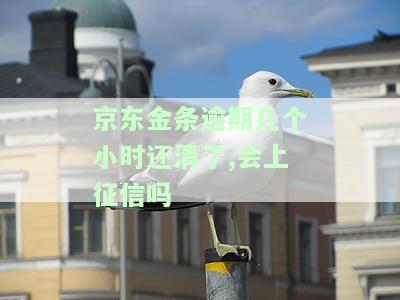 京东金条逾期几个小时还清了,会上征信吗