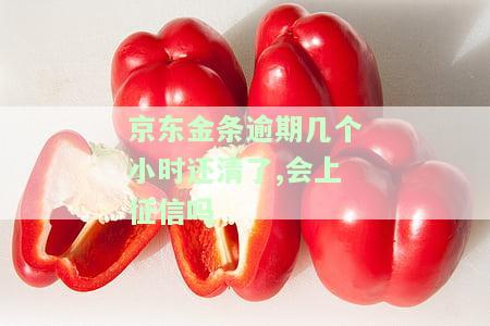 京东金条逾期几个小时还清了,会上征信吗