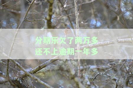 分期乐欠款2万还不起了有什么后果？