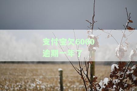 支付宝欠6000逾期一年了还能用吗