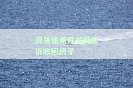 房贷逾期开发商起诉收回房子