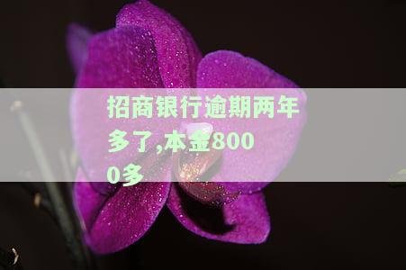 招商银行逾期两年多了，本金8000多正常吗及解决方案