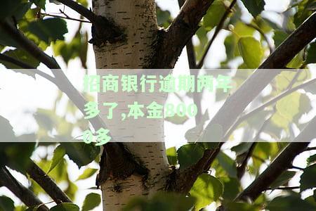 招商银行逾期2年还可以协商还款吗