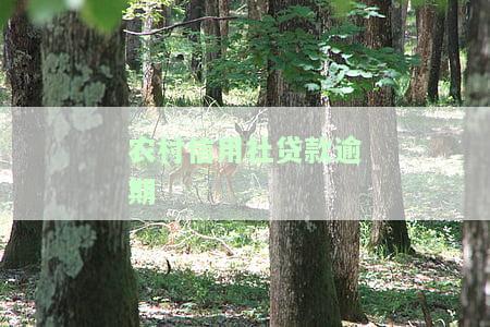 农村信用社贷款逾期一天会影响信用吗？如何恢复征信？
