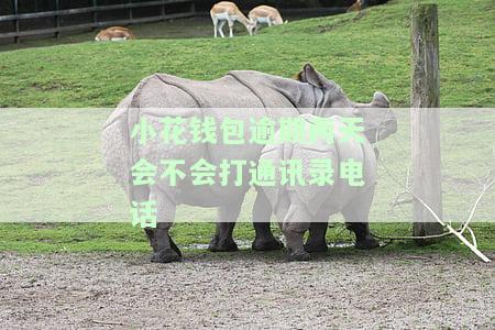 小花钱包逾期几天会打你通讯录的电话，怎么阻止网贷打我通讯录里的电话？