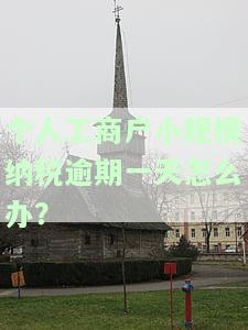 小规模公司逾期缴税怎么样？解析逾期缴税影响、处罚与应对措
