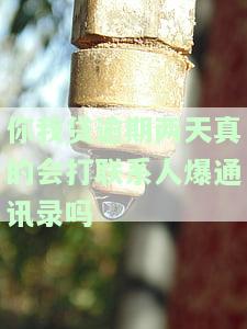 你我贷逾期第二天打电话给我通讯录了,又叫我还款，逾期1天接电话说不还会打紧急联系人电话，逾期第二天人工会给你打电话吗?
