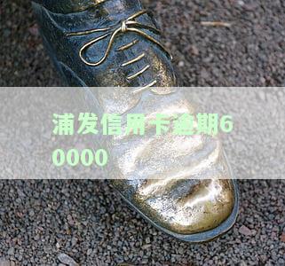 浦发信用卡逾期6000多半年会怎样
