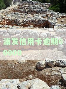 浦发信用卡逾期协商还款的流程及有效期