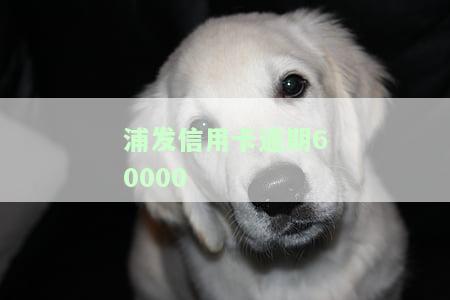 浦发信用卡逾期三年协商还款政策及欠款处理