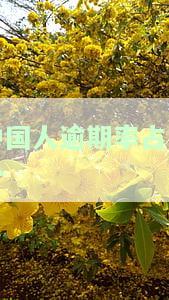中国逾期的人多吗最新统计数据