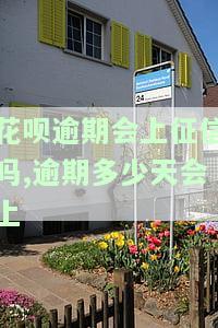花呗逾期会上征信：几天逾期上征信