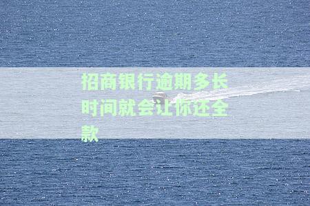 招商银行逾期还款多少天才会上征信记录？