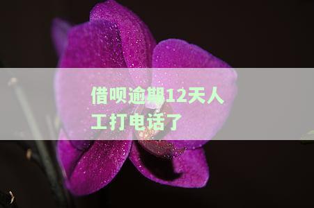 借呗逾期12天人工打电话了怎么办