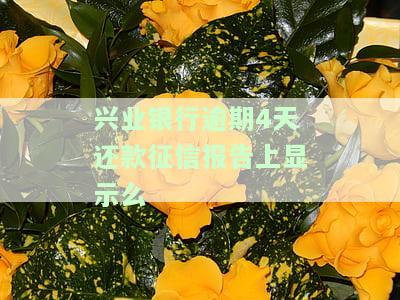 兴业银行还4天会上征信吗