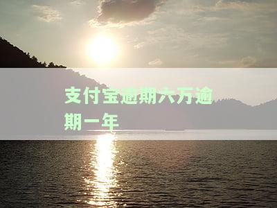 支付宝逾期六万逾期一年怎么办
