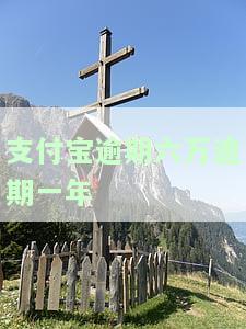 支付宝逾期六万逾期一年